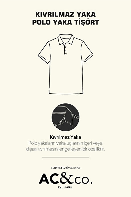 %100 Pamuk Kıvrılmaz Pike Polo Yaka Slim Fit Dar Kesim Turkuaz Tişört resmi