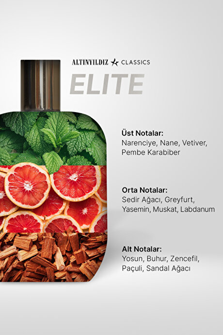 AC Elite 100 ML EDP Vizon Parfüm resmi
