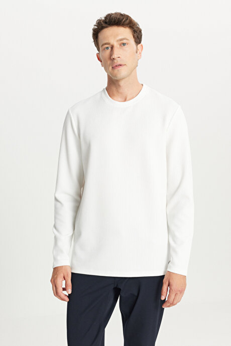 Slim Fit Dar Kesim Bisiklet Yaka Jakarlı Uzun Kollu Ekru Uzun Kollu Tişört resmi
