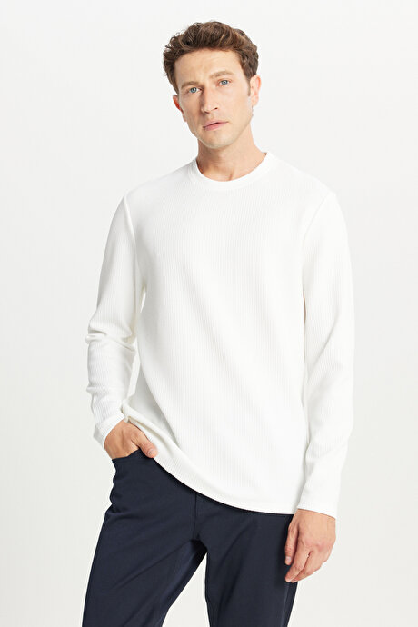 Slim Fit Dar Kesim Bisiklet Yaka Jakarlı Uzun Kollu Ekru Uzun Kollu Tişört resmi