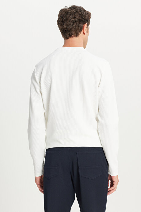 Slim Fit Dar Kesim Bisiklet Yaka Jakarlı Uzun Kollu Ekru Uzun Kollu Tişört resmi