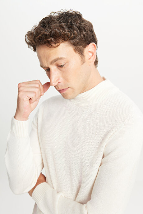 Standart Fit Normal Kesim Yarım Balıkçı Yaka Jakarlı Triko Ekru Kazak resmi