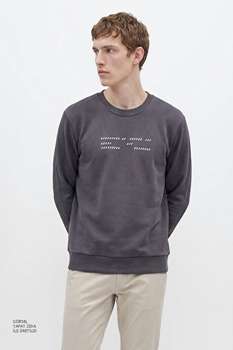 Pamuklu Standart Fit Normal Kesim Bisiklet Yaka Antrasit Sweatshirt resmi
