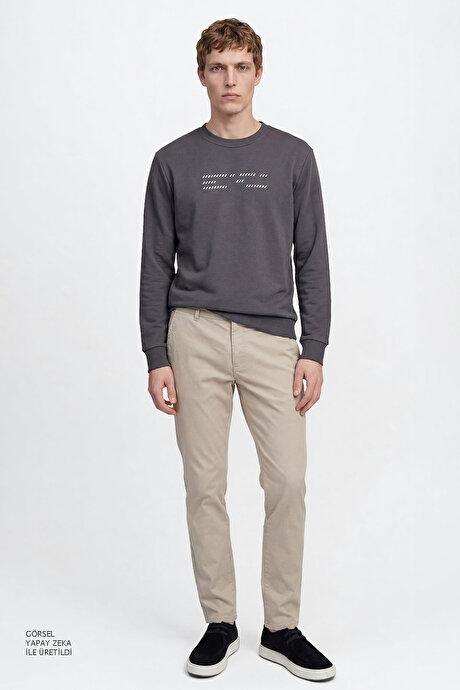 Pamuklu Standart Fit Normal Kesim Bisiklet Yaka Antrasit Sweatshirt resmi