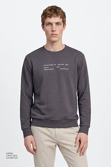 Pamuklu Standart Fit Normal Kesim Bisiklet Yaka Antrasit Sweatshirt resmi