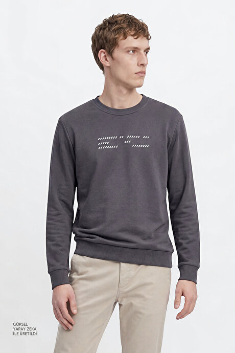 Pamuklu Standart Fit Normal Kesim Bisiklet Yaka Antrasit Sweatshirt resmi