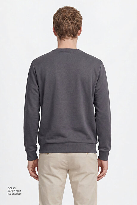 Pamuklu Standart Fit Normal Kesim Bisiklet Yaka Antrasit Sweatshirt resmi