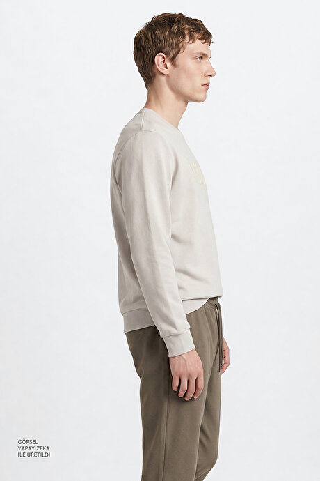 Pamuklu Standart Fit Normal Kesim Bisiklet Yaka Açık Gri Sweatshirt resmi
