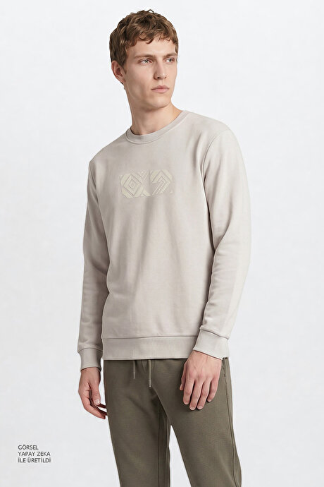 Pamuklu Standart Fit Normal Kesim Bisiklet Yaka Açık Gri Sweatshirt resmi