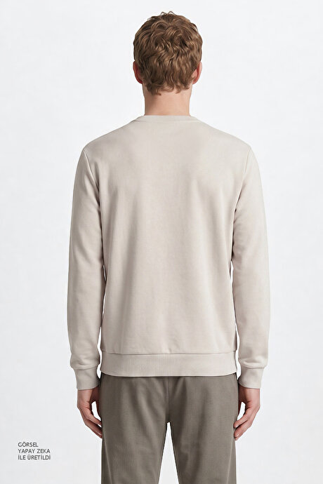 Pamuklu Standart Fit Normal Kesim Bisiklet Yaka Açık Gri Sweatshirt resmi