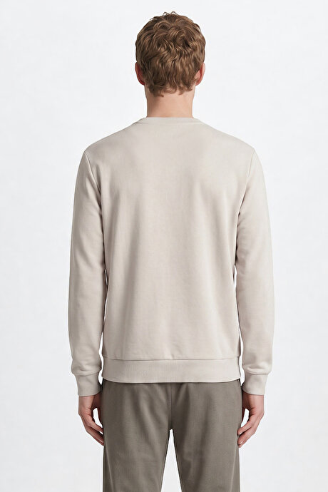 Pamuklu Standart Fit Normal Kesim Bisiklet Yaka Açık Gri Sweatshirt resmi