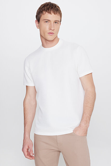 Slim Fit Dar Kesim Bisiklet Yaka Jakarlı Esnek Ekru Tişört resmi