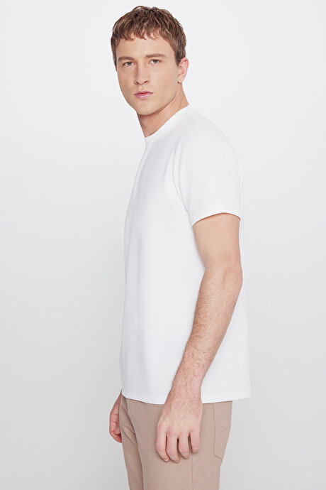 Slim Fit Dar Kesim Bisiklet Yaka Jakarlı Esnek Ekru Tişört resmi