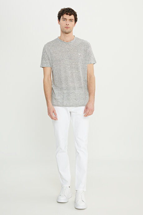 %100 Keten Slim Fit Dar Kesim Çizgili Bisiklet Yaka Gri-Ekru Tişört resmi