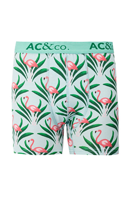 Premium Pamuklu 3'lü Paket Desenli Siyah-Yeşil Boxer resmi