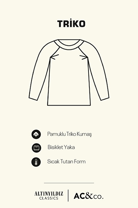 Standart Fit Normal Kesim Pamuklu Bisiklet Yaka Muline Desenli Açık Gri-Lacivert Kazak resmi
