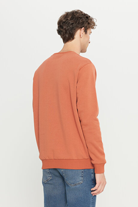 Standart Fit Normal Kesim İçi Polarlı 3 İplik Bisiklet Yaka Pamuklu Açık Kahve Sweatshirt resmi