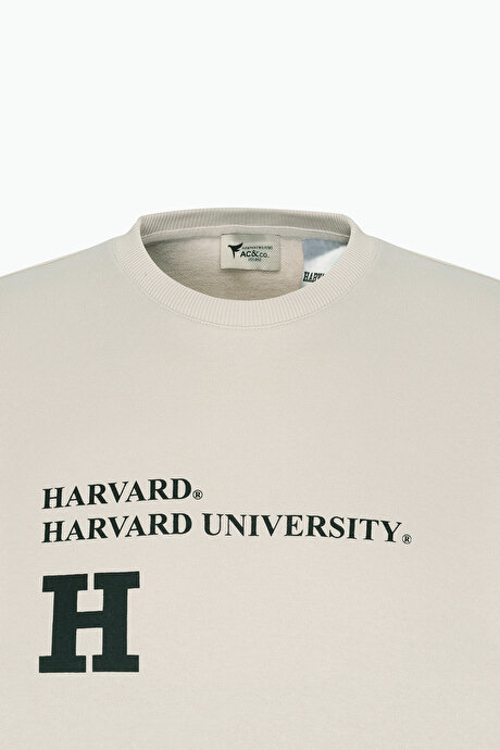 Oversize Fit Bol Kesim Harvard Lisanslı 3 İplik Pamuklu Bisiklet Yaka Açık Bej Sweatshirt resmi