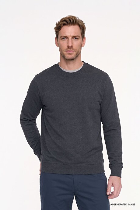Pamuklu Standart Fit Normal Kesim 2 İplik Bisiklet Yaka Antrasit-Melanj Sweatshirt resmi