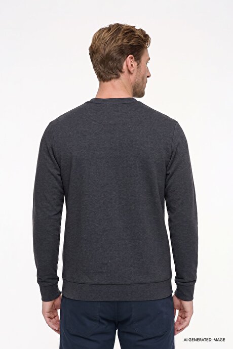 Pamuklu Standart Fit Normal Kesim 2 İplik Bisiklet Yaka Antrasit-Melanj Sweatshirt resmi