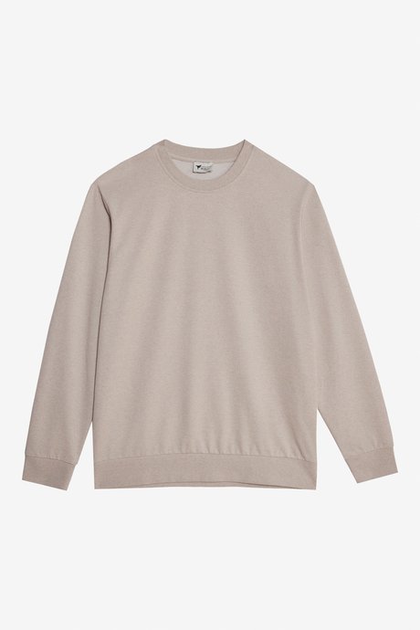 Pamuklu Standart Fit Normal Kesim 2 İplik Bisiklet Yaka Bej Sweatshirt resmi