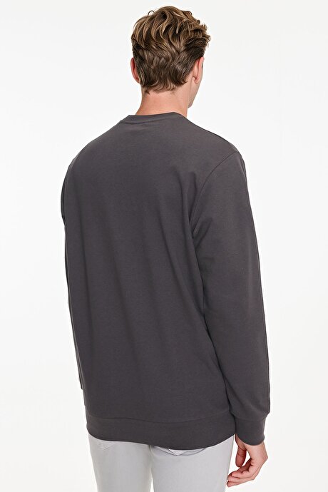 Pamuklu Standart Fit Normal Kesim 2 İplik Bisiklet Yaka Füme Sweatshirt resmi