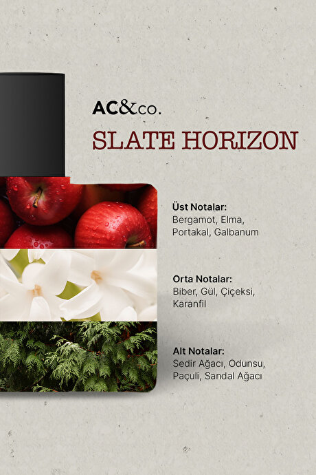 50 Ml EDP Slate Horizon Bordo Parfüm resmi