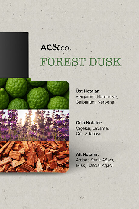 50 Ml EDP Forest Dusk Haki Parfüm resmi