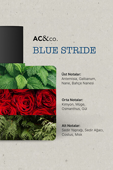 50 Ml EDP Blue Stride Lacivert Parfüm resmi