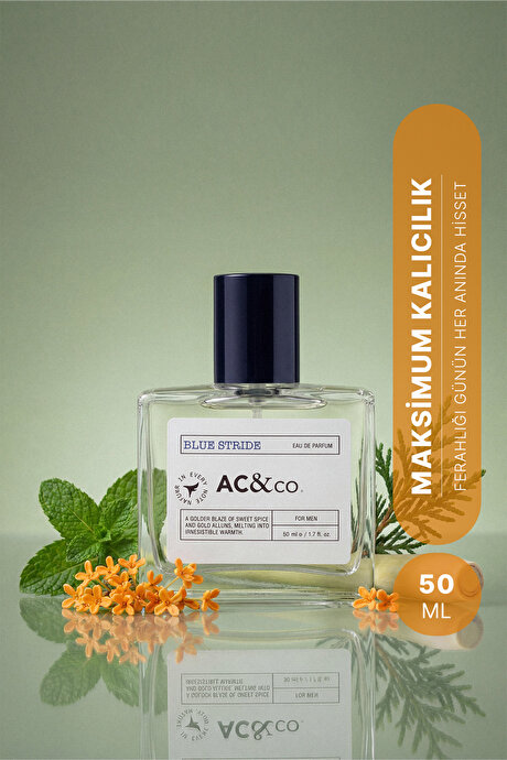 50 Ml EDP Blue Stride Lacivert Parfüm resmi