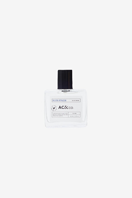 50 Ml EDP Blue Stride Lacivert Parfüm resmi
