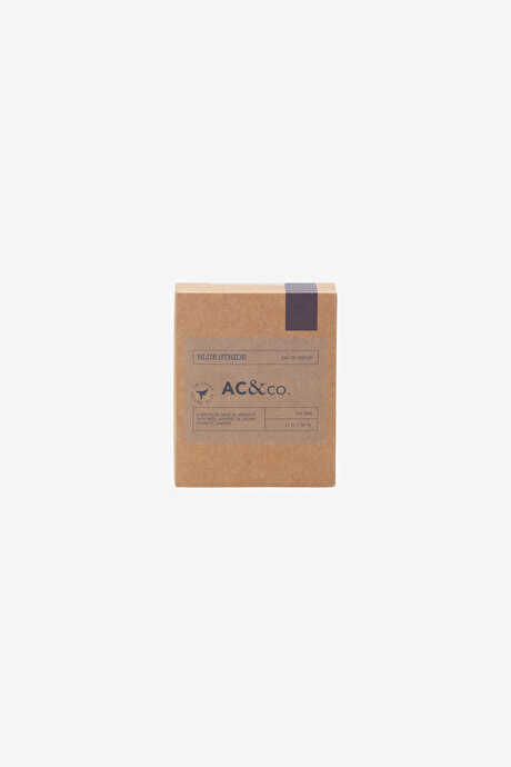 50 Ml EDP Blue Stride Lacivert Parfüm resmi