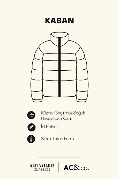 Standart Fit Normal Kesim Dik Yaka Kapüşonlu Yan Cepli Gri Kaban resmi