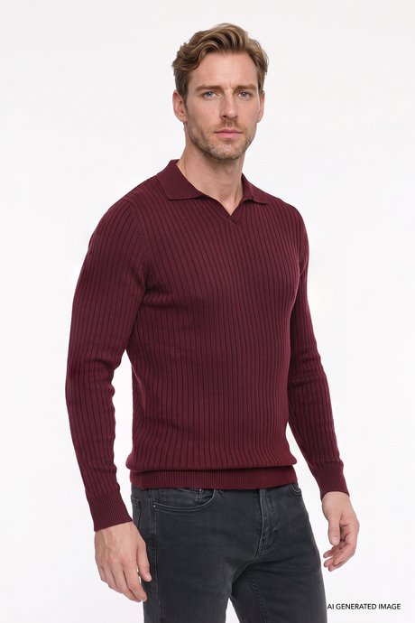 Standart Fit Normal Kesim Polo Yaka Jakarlı Triko Bordo Triko resmi