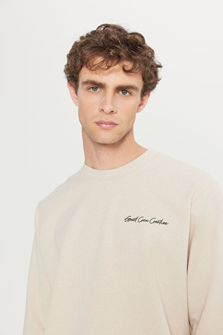 2 İplik Pamuklu Standart Fit Normal Kesim Rahat Bisiklet Yaka Bej Sweatshirt resmi