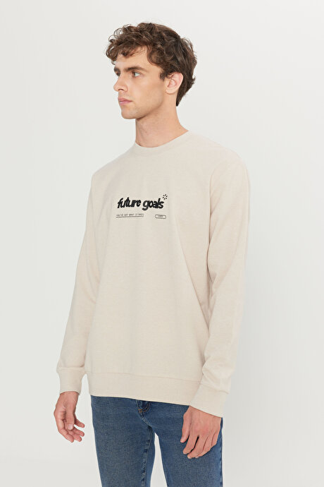 2 İplik Pamuklu Standart Fit Normal Kesim Bisiklet Yaka Bej Sweatshirt resmi