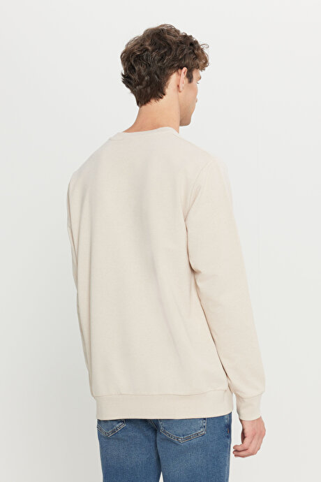 2 İplik Pamuklu Standart Fit Normal Kesim Bisiklet Yaka Bej Sweatshirt resmi