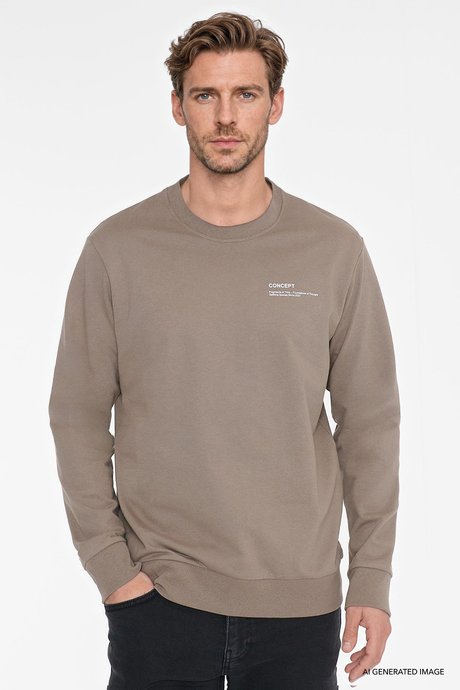 Pamuklu Standart Fit Normal Kesim Bisiklet Yaka Vizon Sweatshirt resmi