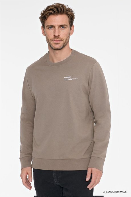 Pamuklu Standart Fit Normal Kesim Bisiklet Yaka Vizon Sweatshirt resmi