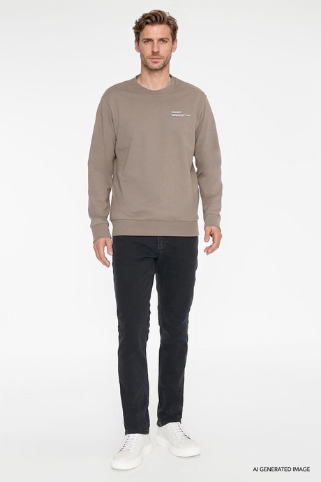 Pamuklu Standart Fit Normal Kesim Bisiklet Yaka Vizon Sweatshirt resmi