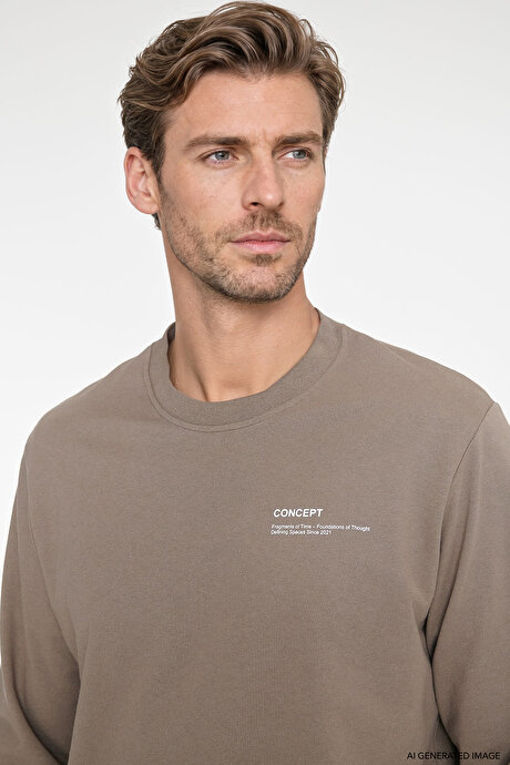 Pamuklu Standart Fit Normal Kesim Bisiklet Yaka Vizon Sweatshirt resmi