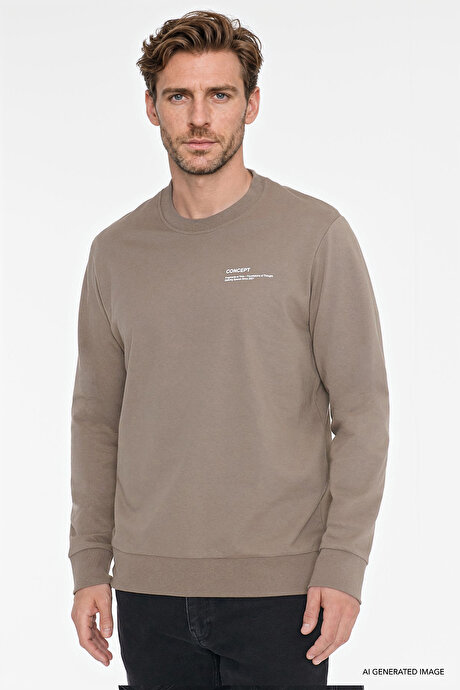 Pamuklu Standart Fit Normal Kesim Bisiklet Yaka Vizon Sweatshirt resmi