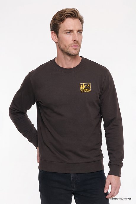 Pamuklu Standart Fit Normal Kesim Bisiklet Yaka Kahverengi Sweatshirt resmi