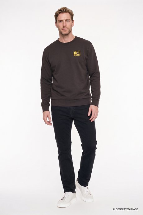 Pamuklu Standart Fit Normal Kesim Bisiklet Yaka Kahverengi Sweatshirt resmi