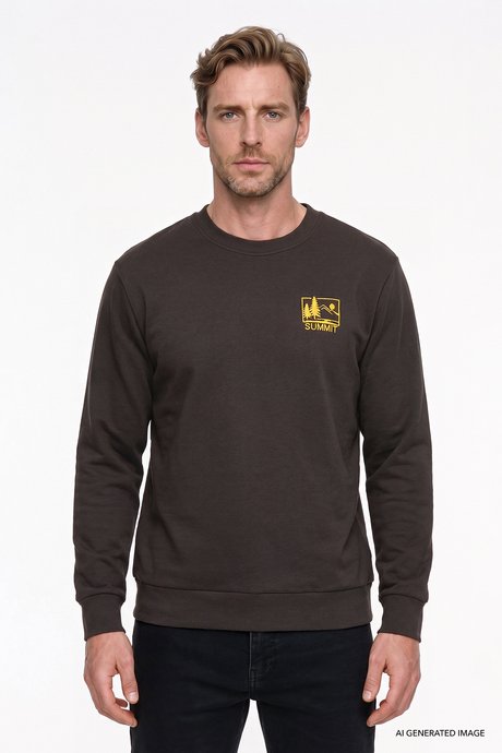 Pamuklu Standart Fit Normal Kesim Bisiklet Yaka Kahverengi Sweatshirt resmi