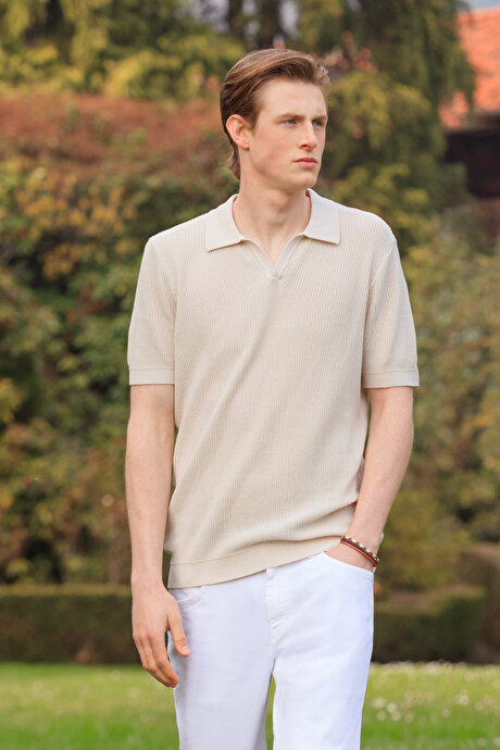 %100 Pamuk Standart Fit Normal Kesim Polo Yaka Triko Taş Tişört resmi