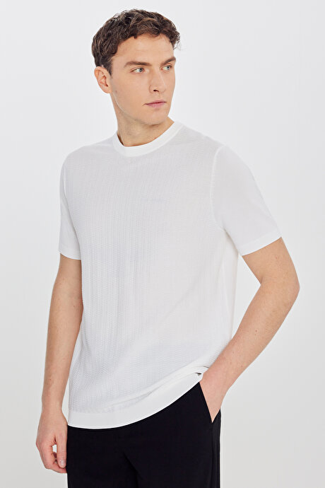 Standart Fit Normal Kesim Bisiklet Yaka Jakarlı Triko Ekru Tişört resmi