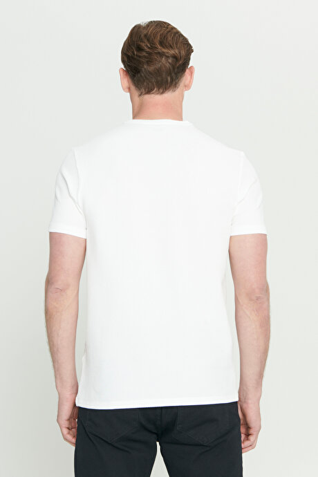 Slim Fit Dar Kesim Bisiklet Yaka Desenli Beyaz Tişört resmi