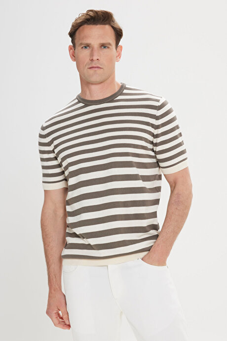 %100 Pamuk Standart Fit Normal Kesim Bisiklet Yaka Çizgili Triko Haki-Bej Tişört resmi