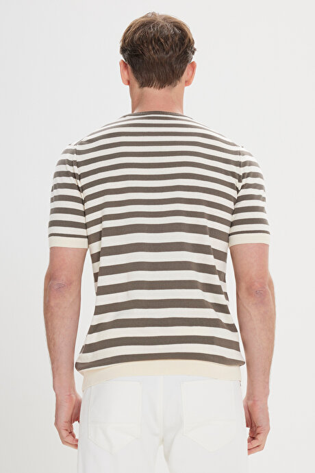 %100 Pamuk Standart Fit Normal Kesim Bisiklet Yaka Çizgili Triko Haki-Bej Tişört resmi